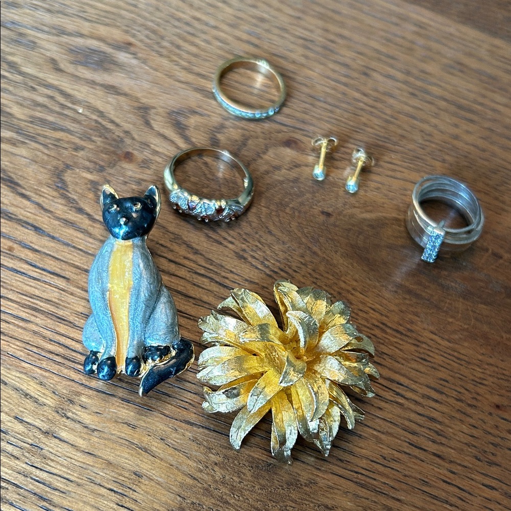 Jewelry Set with Cat Brooch